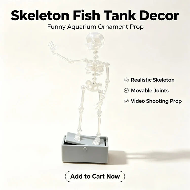 Dancing Aquarium Guy – Bring Your Fish Tank to Life